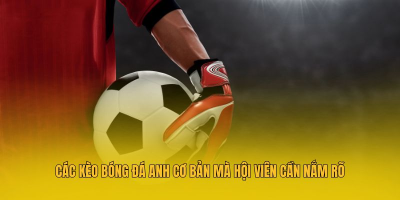 Kèo Bóng Đá Anh - Hướng Dẫn Chiến Thuật Đặt Cược Bất Bại 3 Các kèo bóng đá Anh cơ bản mà hội viên cần nắm rõ